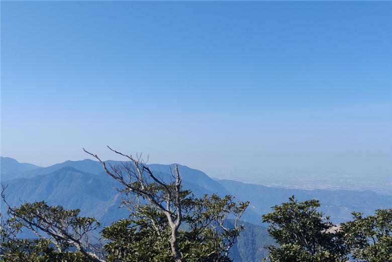 BTG company members held mountaineering activities on New Year's Day