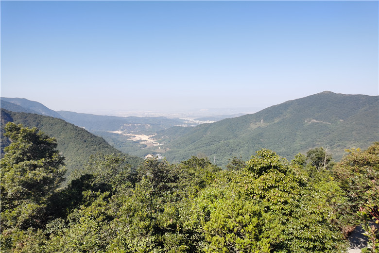 BTG company members held mountaineering activities on New Year's Day